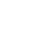 lva-icon