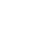 ocular-icon