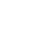 opticals-icon